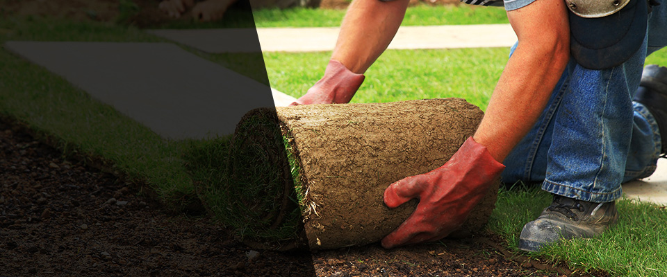 Oregon City Landscapers